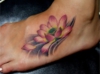 DSCF3553.jpg