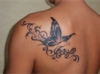 DSCF1259.jpg