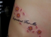 DSCF1653.jpg