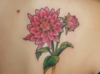 DSCF4818.jpg