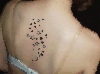 DSCF4485.gif