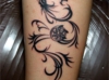 DSCF3439.jpg