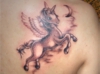 DSCF0269.jpg