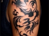 DSCF2167.jpg