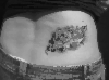 DSCF6171.gif