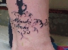 DSCF6493.gif