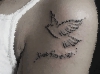 DSCF6771.gif