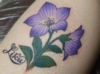 DSCF6957.jpg