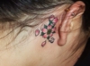 DSCF6981.jpg