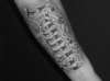 DSCF7901.jpg