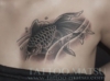 DSCF7824.jpg